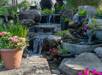 pools-aquascape-img1