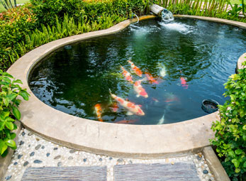 pools-img4