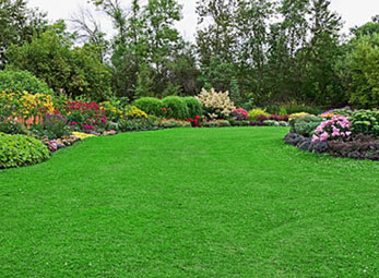 soft-landscaping-img1