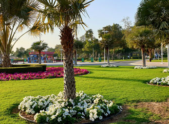 soft-landscaping-new2