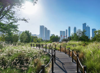 soft-landscaping-new3