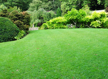 soft-landscaping-new4